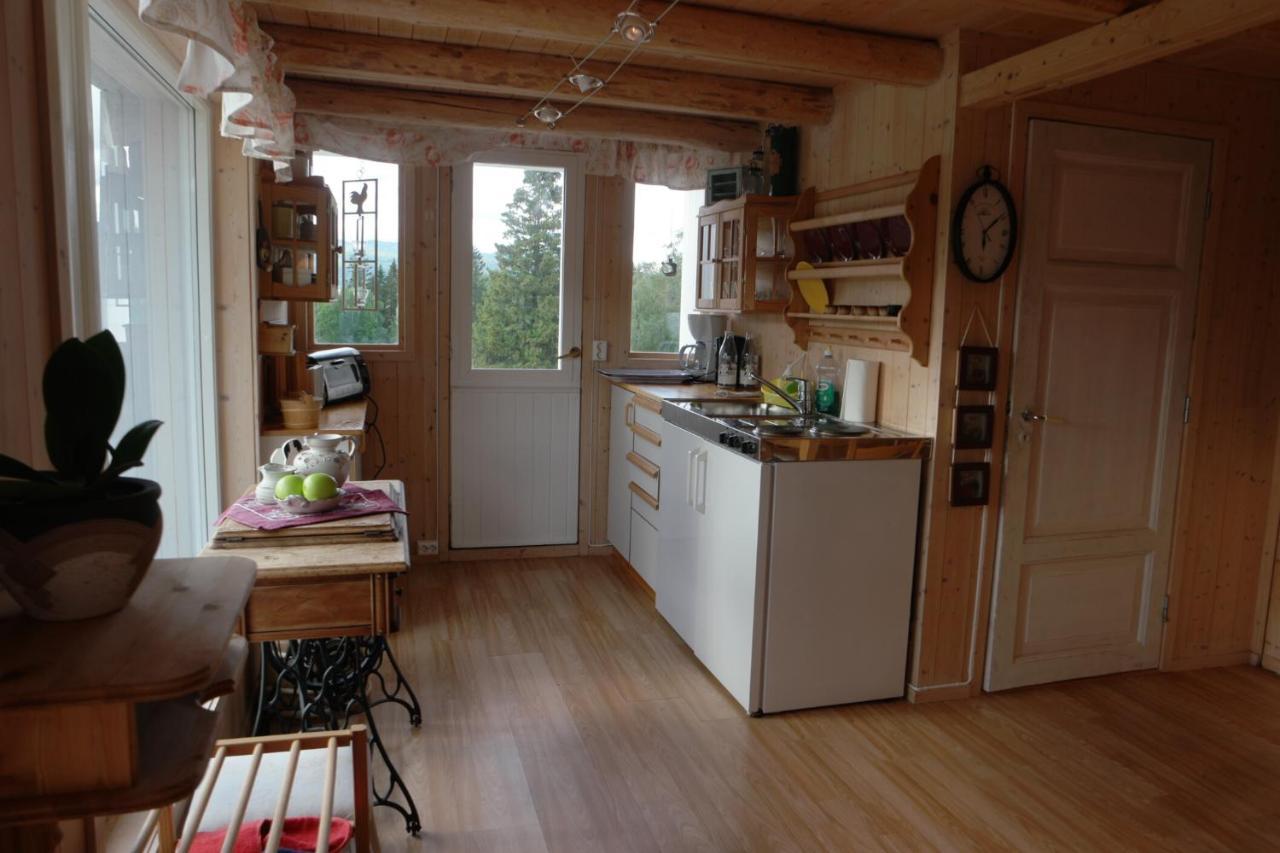 Ferienwohnung Vognbu Gran Nordre Snåsa Exterior foto